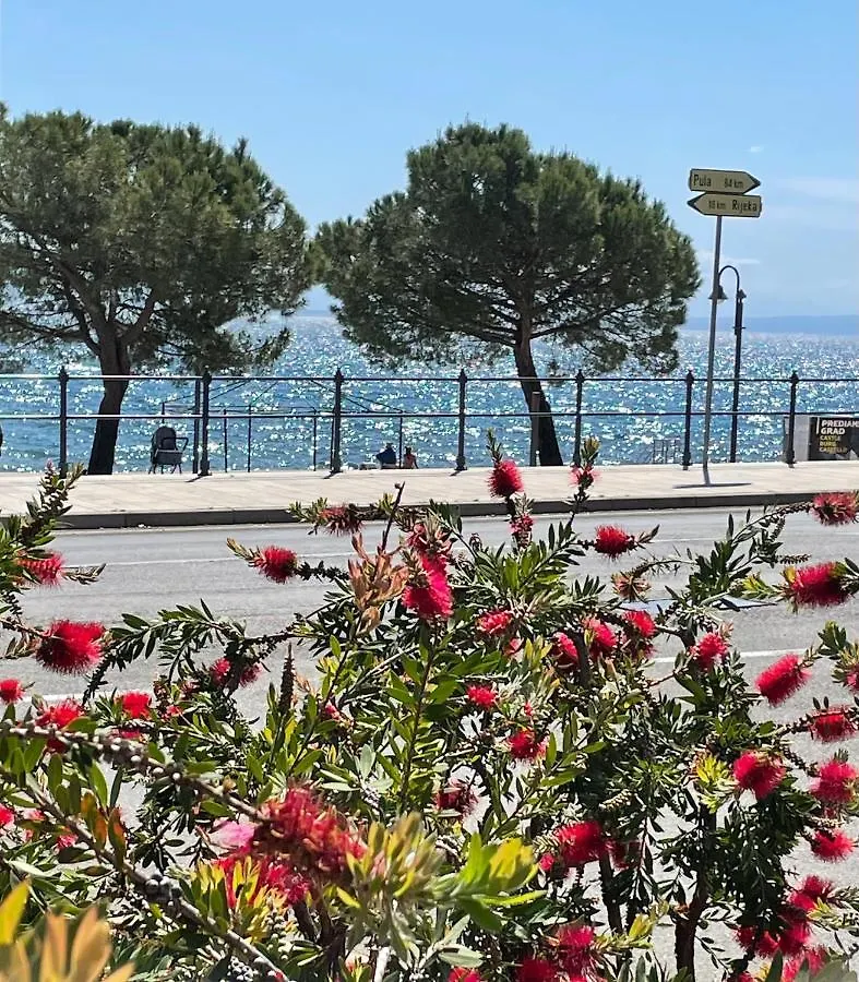 Rock'N'Jazz Apartment With Swimming Pool And Beautiful Sea View Poljane